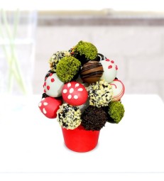 Minik Çikolatalı Lezzetler